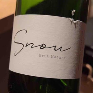 S nou Brut Nature - CELLER 9+ - Moises Virgili i Rovira -2021