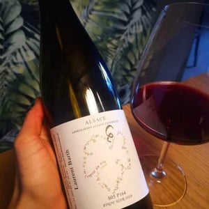 S05P164 Pinot Noir - Laurent Barth - laurent-barth -2020