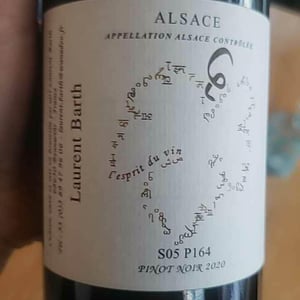 S05P164 Pinot Noir - Laurent Barth - laurent-barth -2020