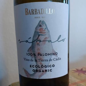 Sabalo - Barbadillo en Singular - mauri-barbadillo -2020