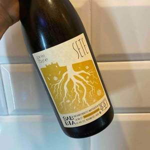 Sabbia - Sete - Vini Naturali - Emiliano Giorgi, Arcangelo Galuppi, Martina D’Alessio 