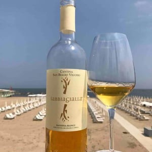 Cantina San Biagio Vecchio - Lucia Ziniti & Andrea Balducci - Sabbiagialla