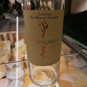 Cantina San Biagio Vecchio - Lucia Ziniti & Andrea Balducci - Sabbiagialla