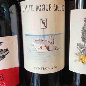 Limite Acque Sicure - Controvento - vincenzo-di-meo