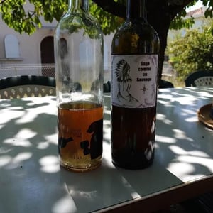Sage Comme Un Sauvage - Le Pigeonnier Des Clouts - Ketura Roux 