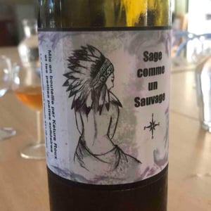 Sage Comme Un Sauvage - Le Pigeonnier Des Clouts - Ketura Roux 