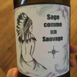 Sage Comme Un Sauvage - Le Pigeonnier Des Clouts - Ketura Roux 