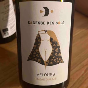 Velours - Sagesse Des Sols - catherine-frederic-roger -2021