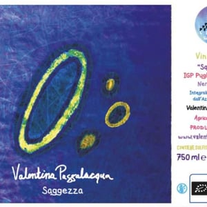 Saggezza - Valentina Passalacqua - valentina-passalacqua -2019