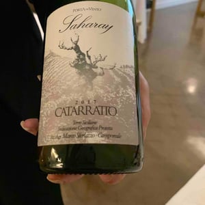 Saharay 2017