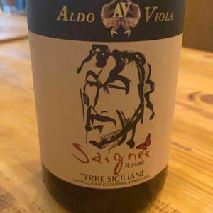 Saignee - Azienda Agricola Aldo Viola - aldo-viola