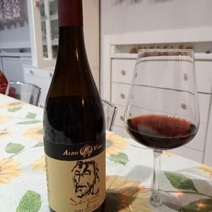 Saignee - Azienda Agricola Aldo Viola - Aldo Viola 