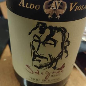 Saignee - Azienda Agricola Aldo Viola - Aldo Viola 