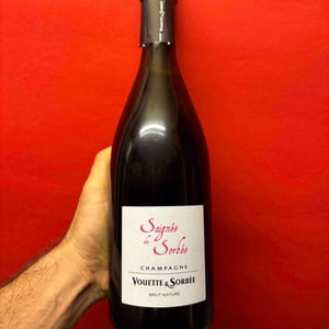 Saignée de Sorbée - Brut Nature - Vouette & Sorbée - Héloïse et Bertrand Gautherot 