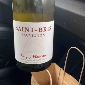Saint Bris - Domaine Bersan - Jean-Louis & Jean-Christophe Bersan 