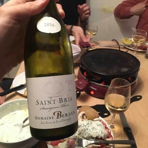 Saint Bris - Domaine Bersan - jean-louis-jean-christophe-bersan