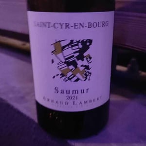 Saint-Cyr-En-Bourg - Domaine de Saint-Just - arnaud-lambert