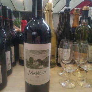 Saint Emilion - Château Mangot & Château La Brande - yann-karl-todeschini