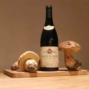 Saint-Joseph 2009 - Pierre Gonon - pierre-gonon