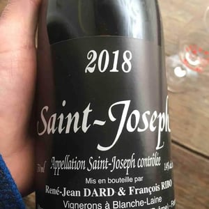 Saint Joseph - "Pitrou" - Rouge - Dard & Ribo - rene-jean-dard-francois-ribo