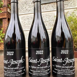 Saint-Joseph - Rouge - Dard & Ribo - René-Jean Dard & François Ribo 