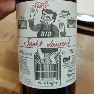Sankt Laurent - Weingut Weninger (Austria) / Weninger Pincészet (Hungary) - franz-weninger