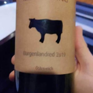 Sankt Laurent - Meinklang - Weingut Michlits - Angela & Werner Michlits 