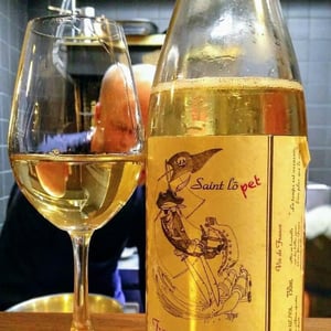 Saint Lo Pet - François Saint-Lô - François Saint-Lô 