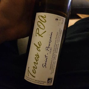 Saint-Pourçain - Vignoble des Vernusses - Loren PETIT 