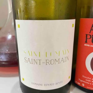 Domaine Renaud Boyer - Renaud Boyer - Saint-Romain Blanc