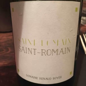 Saint-Romain Blanc - Domaine Renaud Boyer - Renaud Boyer 
