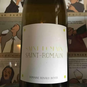 Domaine Renaud Boyer - Renaud Boyer - Saint-Romain Blanc