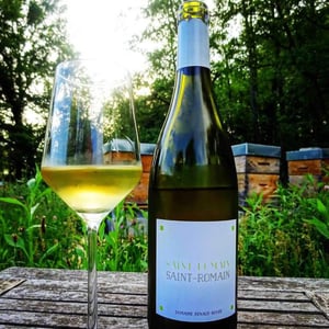 Saint-Romain Blanc - Domaine Renaud Boyer - renaud-boyer