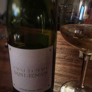 Saint-Romain Blanc - Domaine Renaud Boyer - renaud-boyer