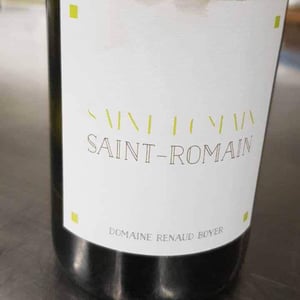 Domaine Renaud Boyer - Renaud Boyer - Saint-Romain Blanc