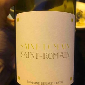Saint-Romain Blanc - Domaine Renaud Boyer - renaud-boyer