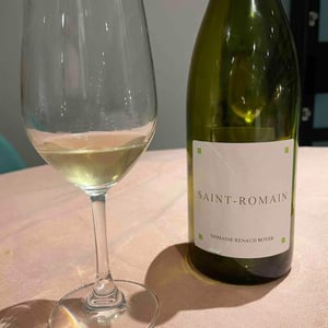 Domaine Renaud Boyer - Renaud Boyer - Saint-Romain Blanc