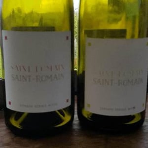 Saint-Romain Blanc - Domaine Renaud Boyer - renaud-boyer