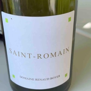Saint-Romain Blanc - Domaine Renaud Boyer - renaud-boyer