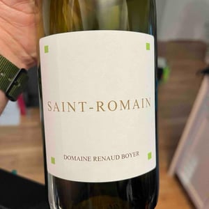 Saint-Romain Blanc - Domaine Renaud Boyer - renaud-boyer