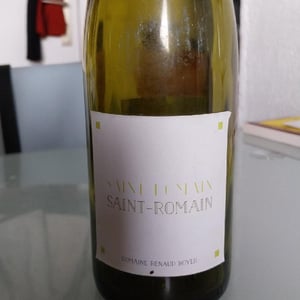 Domaine Renaud Boyer - Renaud Boyer - Saint-Romain Blanc