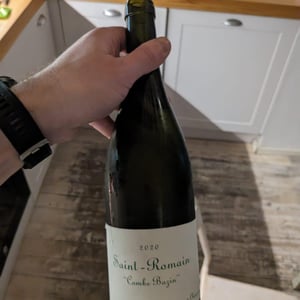 Domaine de Chassorney - Frédéric Cossard - Saint-Romain "Combe Bazin"
