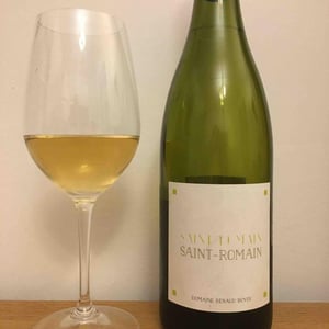 Saint-Romain Blanc - Domaine Renaud Boyer - renaud-boyer