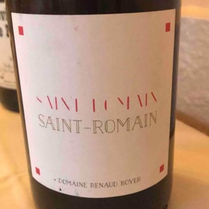 Domaine Renaud Boyer - Renaud Boyer - Saint-Romain Rouge