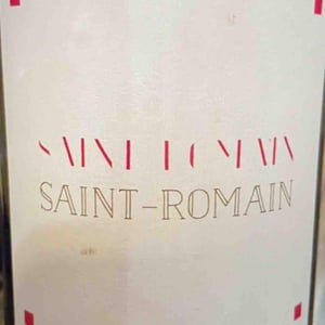 Saint-Romain Rouge - Domaine Renaud Boyer - Renaud Boyer 