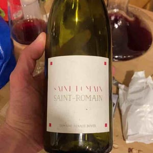 Saint-Romain Rouge - Domaine Renaud Boyer - Renaud Boyer 