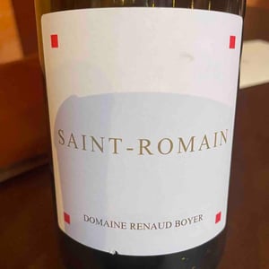 Saint-Romain Rouge - Domaine Renaud Boyer - Renaud Boyer 