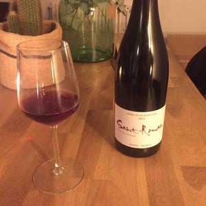 Saint-Romain (rouge) - Sarnin-Berrux - jean-pascal-sarnin-jean-marie-berrux