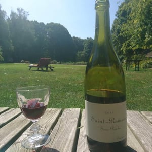Saint-Romain "Sous Roche" - Domaine de Chassorney - frederic-cossard -2017