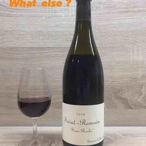Domaine de Chassorney - Frédéric Cossard - Saint-Romain "Sous Roche"